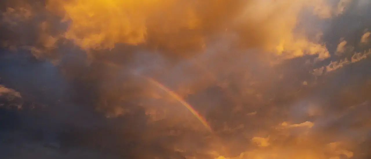 5 gallerier i Aarhus med ny samtidskunst