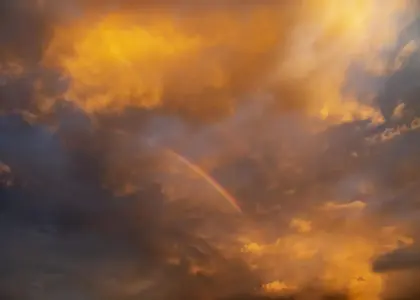 5 gallerier i Aarhus med ny samtidskunst