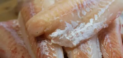 7 aftensretter med torsk - klar på under 30 minutter