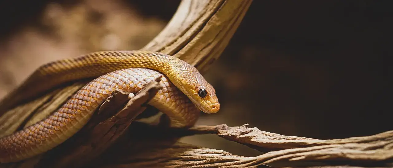 7 skulpturparker i Jylland, der er værd at opleve