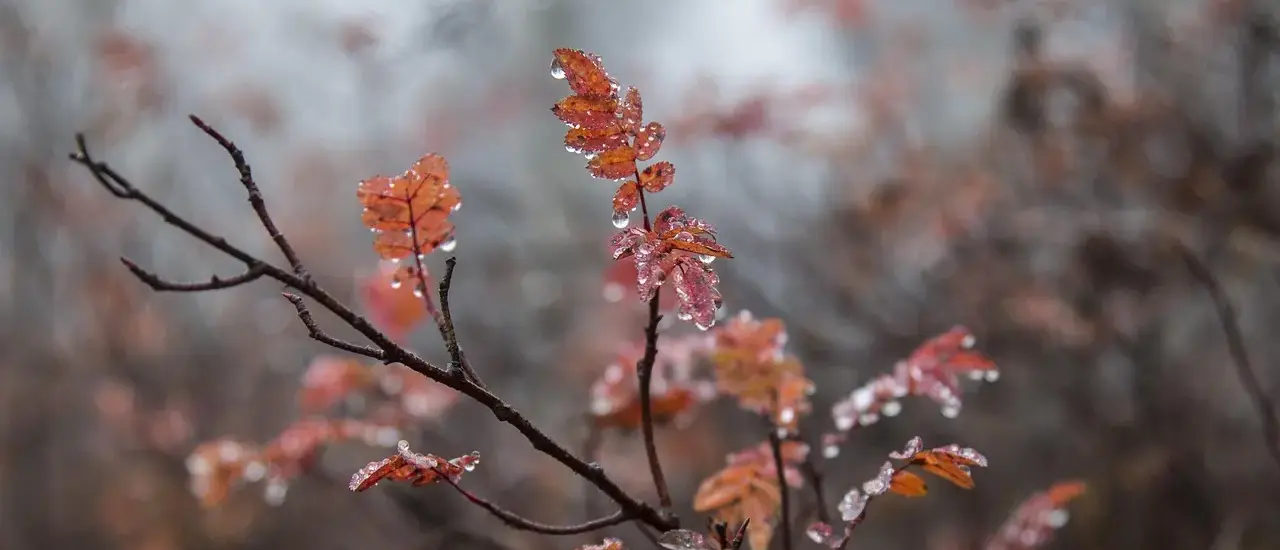 9 danske kunstmagasiner og tidsskrifter online