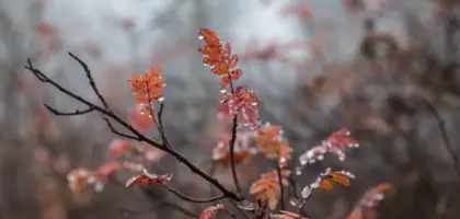 9 danske kunstmagasiner og tidsskrifter online