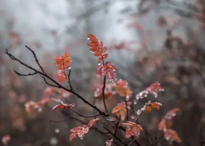 9 danske kunstmagasiner og tidsskrifter online