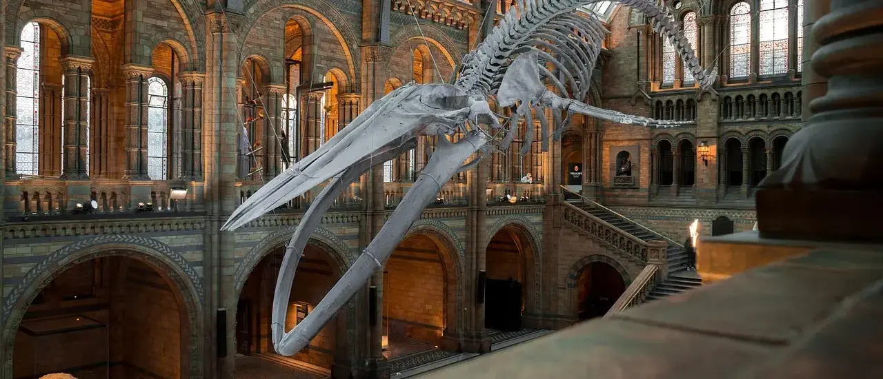 Begynderens guide til at købe kunst i Danmark