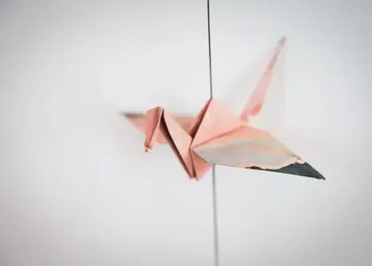 Dansk minimalisme i billedkunsten: en introduktion