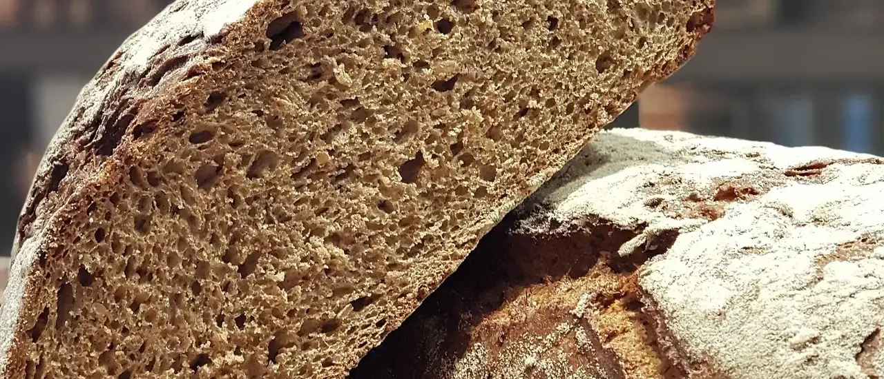 Fra hoveri til husmandsliv: bondestandens skikke