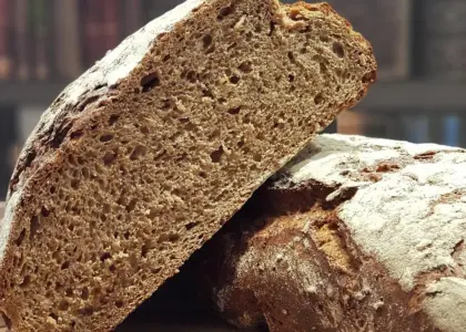 Fra hoveri til husmandsliv: bondestandens skikke