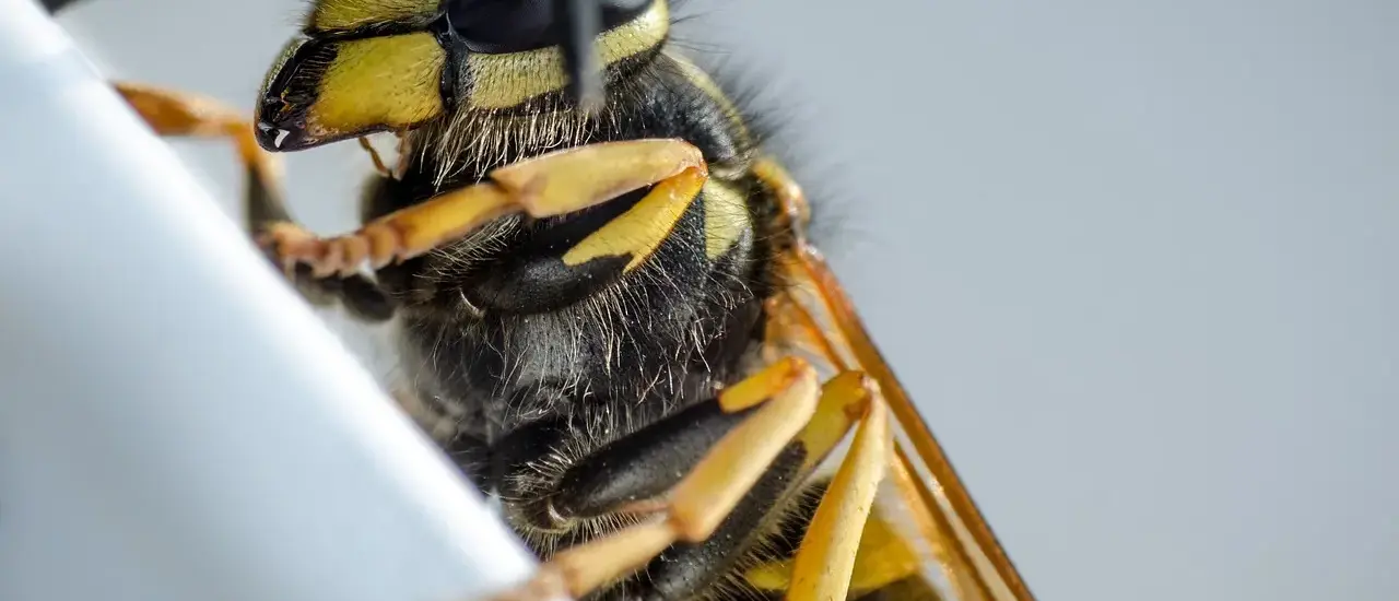 Hvad er lønnen i netto? Så meget får du i hånden - og sådan kan du øge den