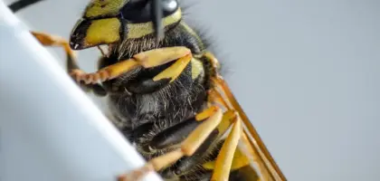 Hvad er lønnen i netto? Så meget får du i hånden - og sådan kan du øge den