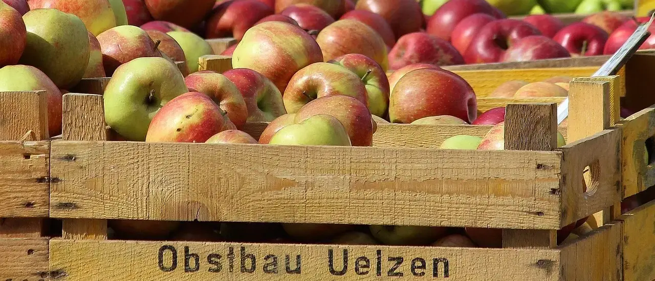 Hvilke æbler er bedst til æblekage? - Find de perfekte, saftige sorter til din næste kage