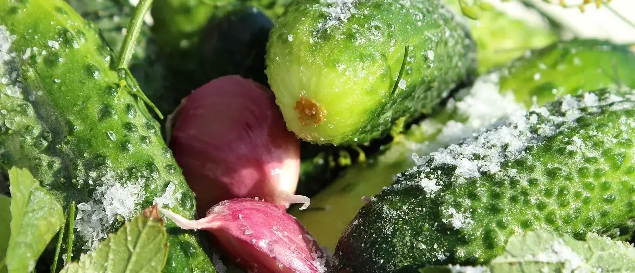 Hvilket salt er bedst til at sylte agurker?