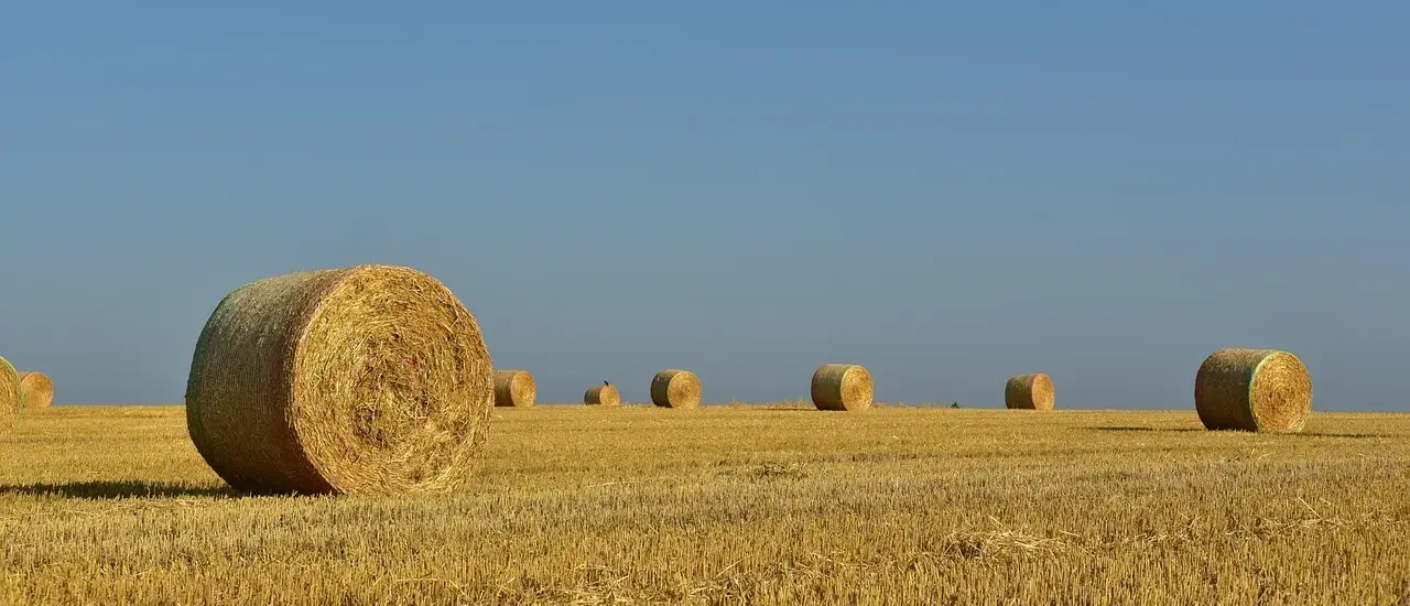 Hvorfor brænder vi heksen på bålet til sankthansaften?