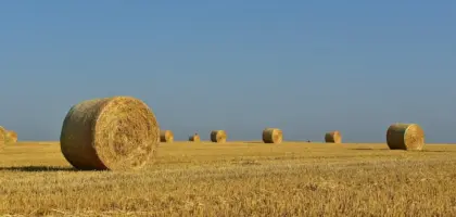 Hvorfor brænder vi heksen på bålet til sankthansaften?