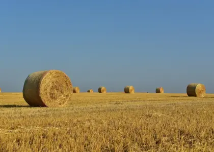 Hvorfor brænder vi heksen på bålet til sankthansaften?