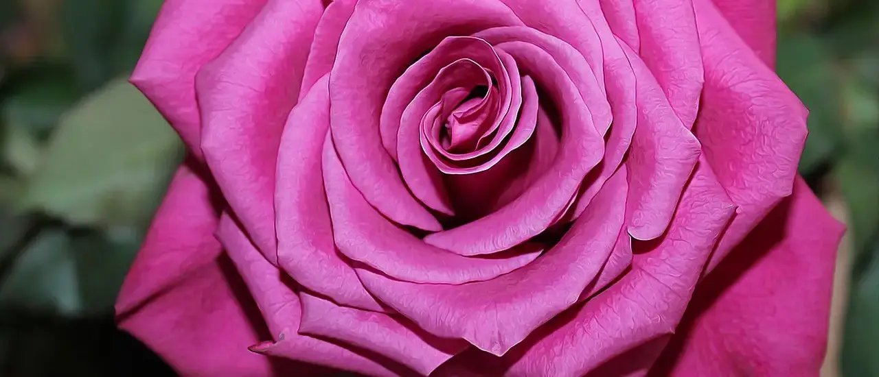 Hvornår er Blå Mandag? Find datoen - og de bedste måder at fejre (eller overleve) den