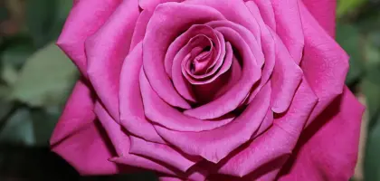 Hvornår er Blå Mandag? Find datoen - og de bedste måder at fejre (eller overleve) den