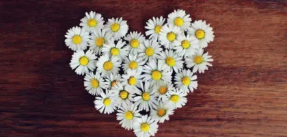 Medvirkende i Wild At Heart