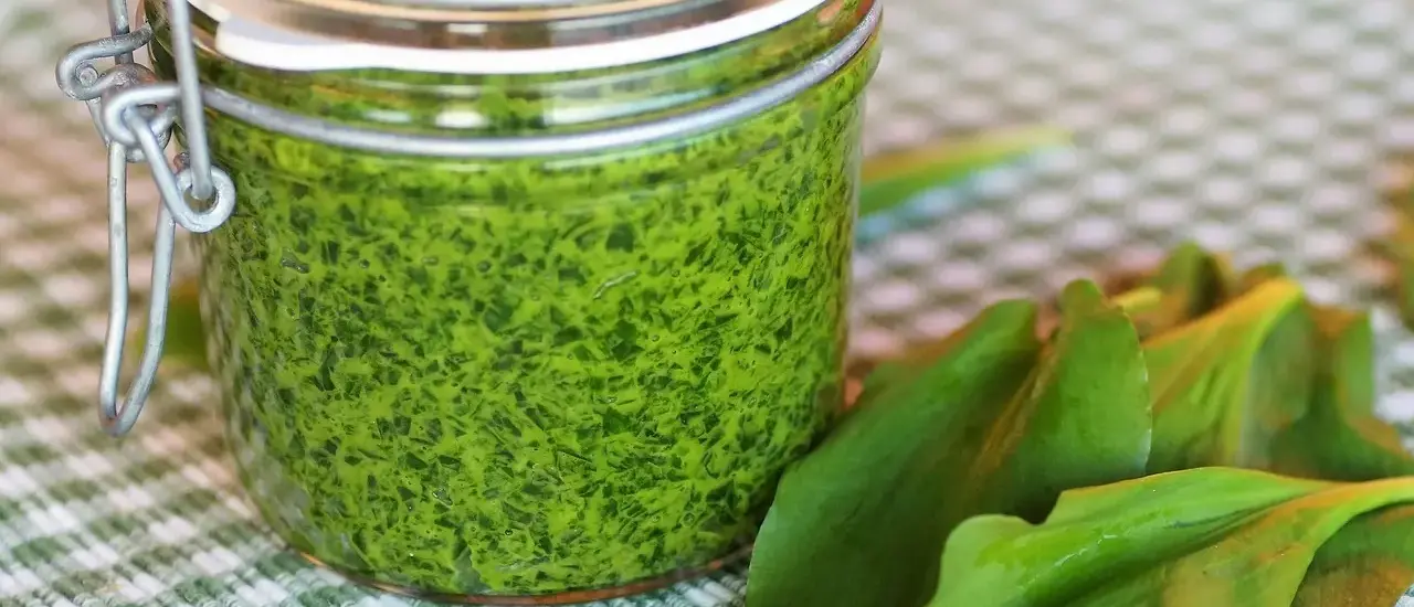 Ramsløgspesto uden nødder: opskrift og holdbarhed