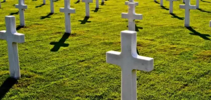 Ringet op af 88 71 39 31 – Ring tilbage?