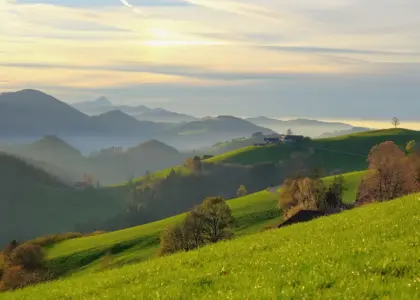 Sådan får du god belysning af kunst i hjemmet