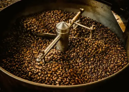 Sådan opbevarer du kaffebønner bedst