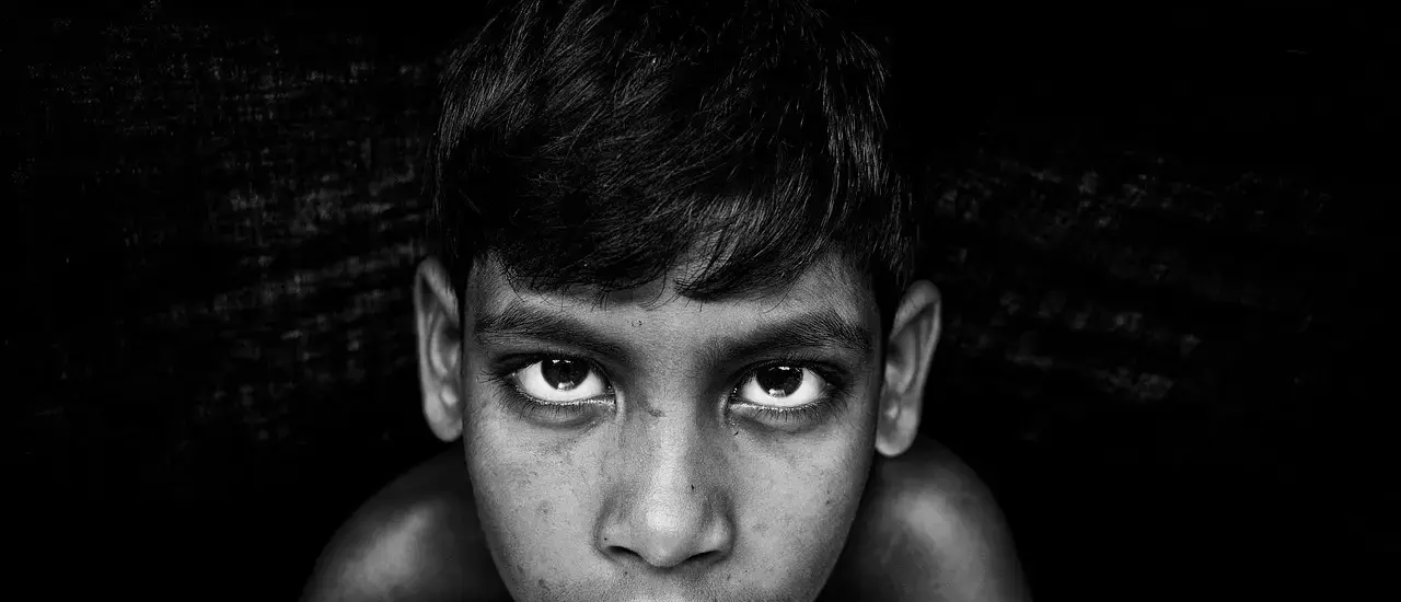 Stavnsbåndets ophævelse i 1788: årsager og følger