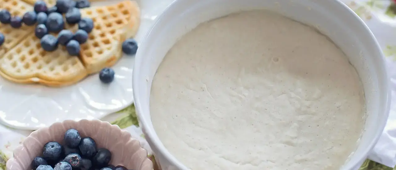 Surdej for begyndere: sådan starter du din surdej