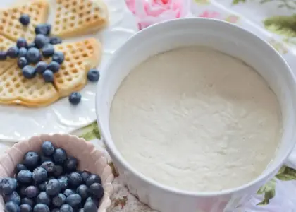Surdej for begyndere: sådan starter du din surdej