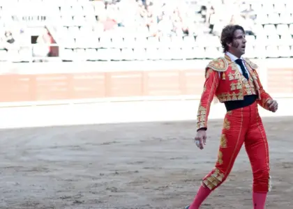 Tyrefægter i Krydsord svar